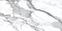 Плитка Alpas Euro Premium Marble Visage Grey Plus Pol 60x120 см, поверхность полированная
