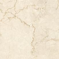 Плитка Arcana Marble Classique-R Arena 59.3x59.3 см, поверхность полированная