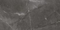 Плитка Arcana Marble Vanity R Plomo 44.3x89.3 см, поверхность полированная