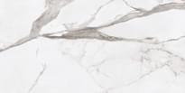Плитка Ariana Epoque White Statuario Rett 60x120 см, поверхность матовая, рельефная
