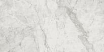 Плитка Century Contact Stone White Naturale 30x60 см, поверхность матовая, рельефная