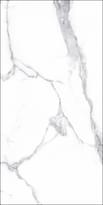 Плитка Cerdomus Extremewhite Statuario Bianco Rett Levigato 60x120 см, поверхность полированная