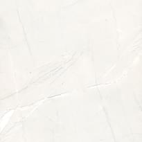 Плитка Cerdomus Pulpis Bianco Levigato 120x120 см, поверхность полированная