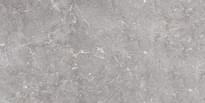 Плитка Edimax Golden Age Grey 30x60 см, поверхность полуматовая