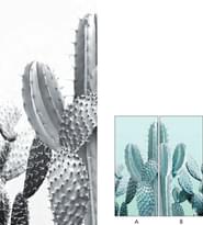 Плитка Ornamenta Operae Cacti White 120x278 см, поверхность матовая