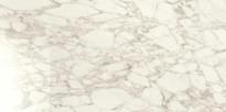 Плитка Ragno Maiora-Marble Effect Arabescato Glossy Rettificato 120x240 см, поверхность полированная
