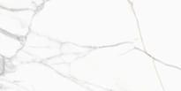 Плитка Simpolo Porcelain Crv-3140 Carving 60x120 см, поверхность матовая, рельефная