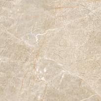 Плитка Vives Titan Unsu Nuez 60x60 см, поверхность полированная