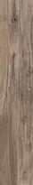 Плитка ABK Dolphin Oak Aged Rett 20x120 см, поверхность матовая, рельефная