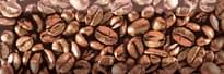 Плитка Absolut Keramika Coffe Beans Decor 03 10x30 см, поверхность глянец
