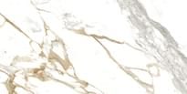 Плитка Absolut Keramika Medici Gold Pulido R 80x160 см, поверхность полированная