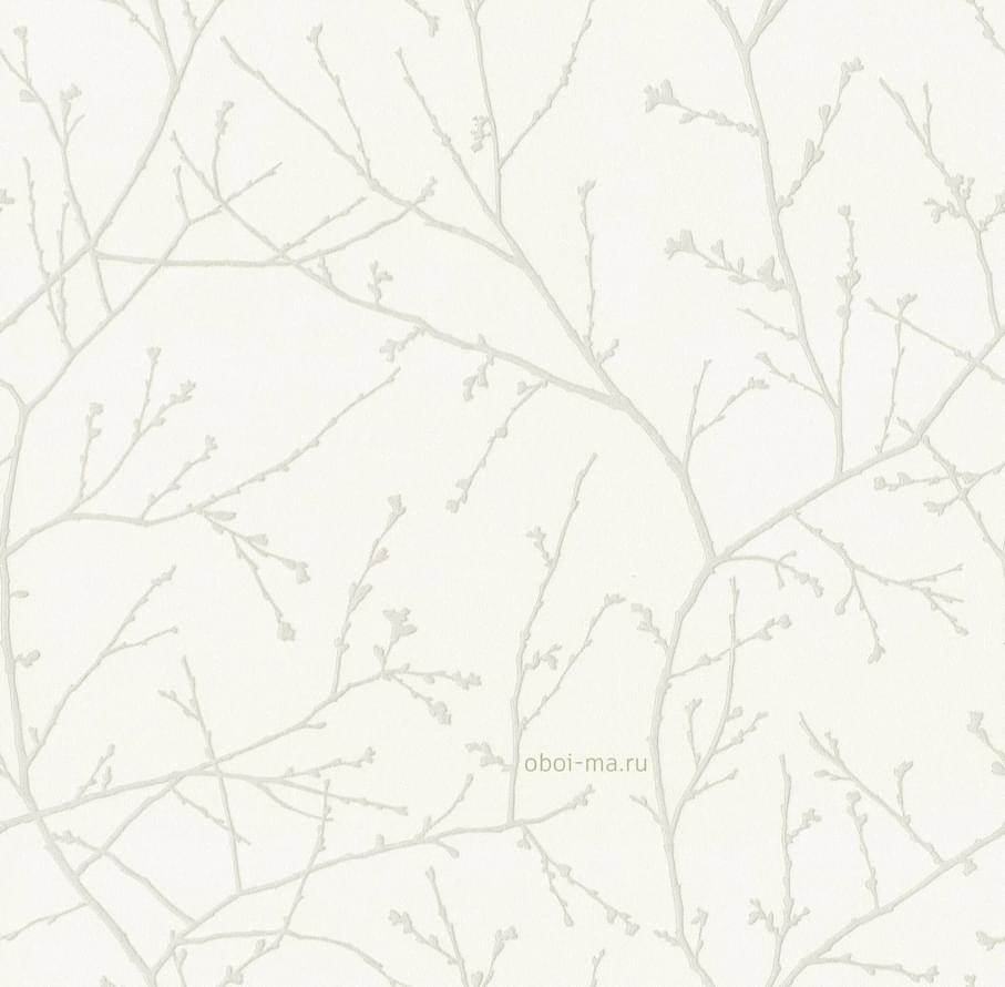 Alessandro Allori Argiano 15024-1 10.05м x 106см поверхность матовая