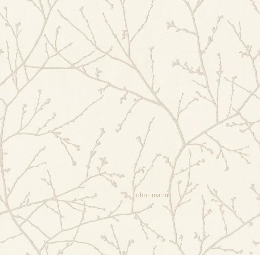 Alessandro Allori Argiano 15024-2 10.05м x 106см поверхность матовая