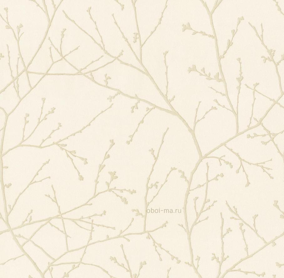 Alessandro Allori Argiano 15024-3 10.05м x 106см поверхность матовая