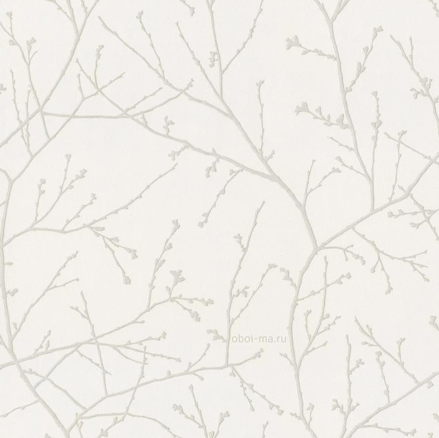 Alessandro Allori Argiano 15024-4 10.05м x 106см поверхность матовая