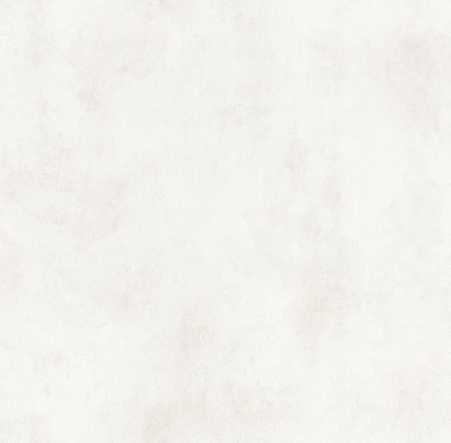 Alessandro Allori Argiano 15025-1 10.05м x 106см поверхность матовая