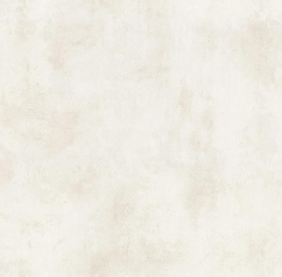 Alessandro Allori Argiano 15025-9 10.05м x 106см поверхность матовая