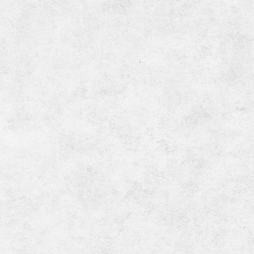 Alessandro Allori Argiano 15029-7 10.05м x 106см поверхность матовая