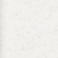 Alessandro Allori Argiano 15030-3 10.05м x 106см поверхность матовая