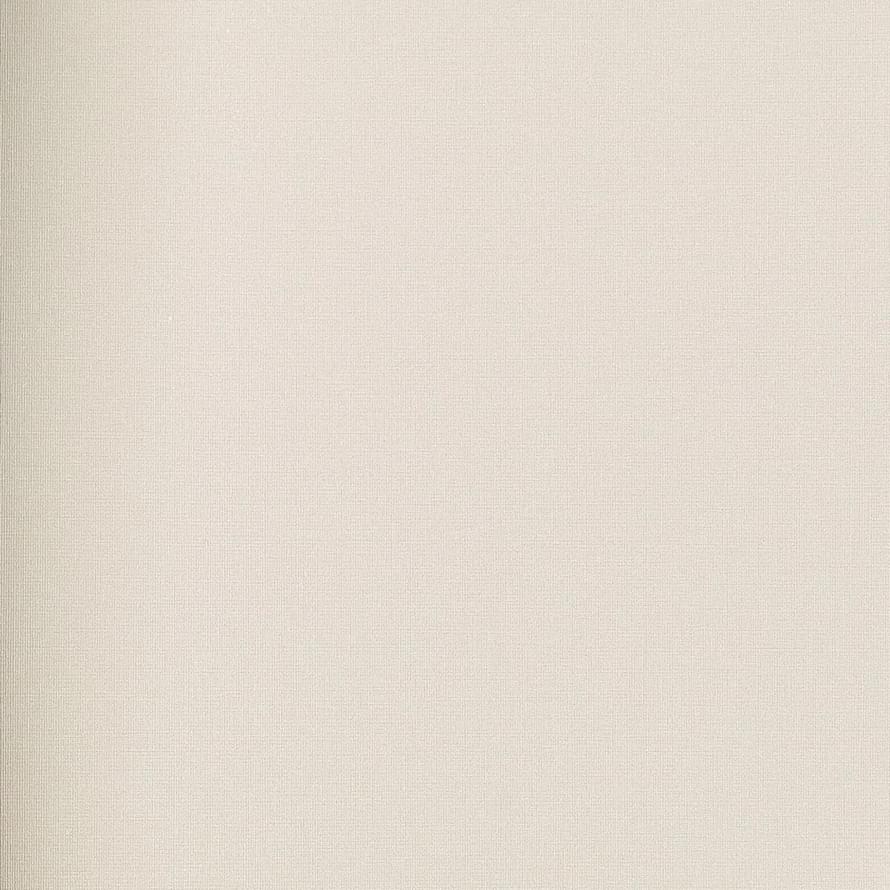 Alessandro Allori Argiano 15032-12 10.05м x 106см поверхность матовая