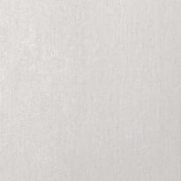 Alessandro Allori Bodega 2402-2 RTE 10.05м x 106см поверхность матовая