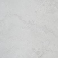 Alessandro Allori Bodega 2403-1 RTE 10.05м x 106см поверхность матовая