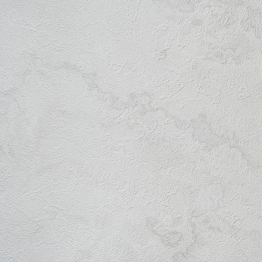 Alessandro Allori Bodega 2403-1 RTE 10.05м x 106см поверхность матовая