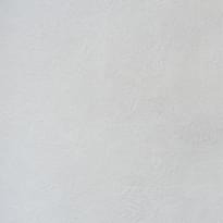 Alessandro Allori Bodega 2404-1 RTE 10.05м x 106см поверхность матовая