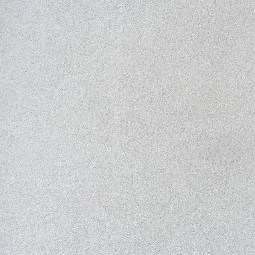 Alessandro Allori Bodega 2404-1 RTE 10.05м x 106см поверхность матовая