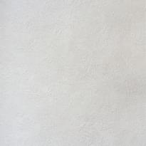 Alessandro Allori Bodega 2404-2 RTE 10.05м x 106см поверхность матовая