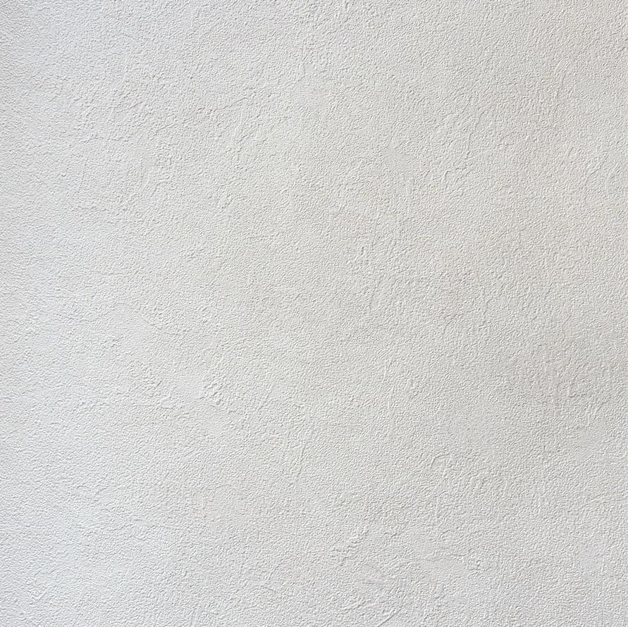 Alessandro Allori Bodega 2404-2 RTE 10.05м x 106см поверхность матовая