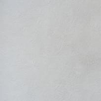 Alessandro Allori Bodega 2404-6 RTE 10.05м x 106см поверхность матовая