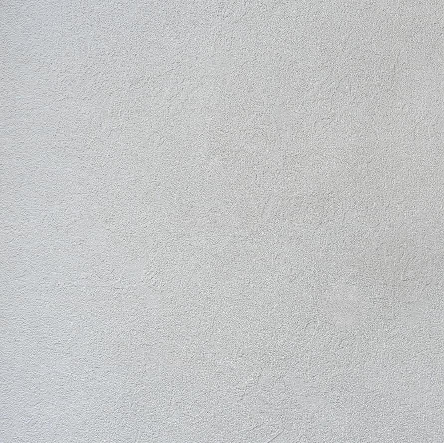 Alessandro Allori Bodega 2404-6 RTE 10.05м x 106см поверхность матовая