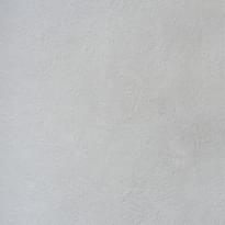 Alessandro Allori Bodega 2404-7 RTE 10.05м x 106см поверхность матовая