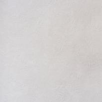 Alessandro Allori Bodega 2404-9 RTE 10.05м x 106см поверхность матовая