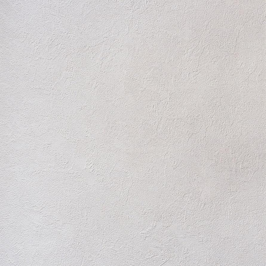 Alessandro Allori Bodega 2404-9 RTE 10.05м x 106см поверхность матовая