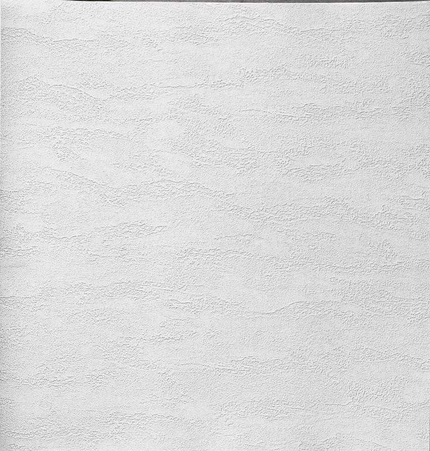 Alessandro Allori Bodega 2406-1 RTE 10.05м x 106см поверхность матовая