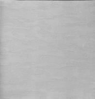 Alessandro Allori Bodega 2406-2 RTE 10.05м x 106см поверхность матовая