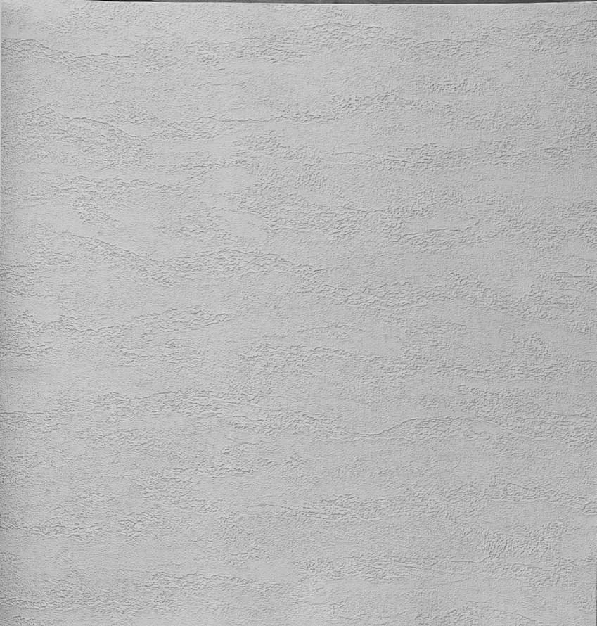 Alessandro Allori Bodega 2406-2 RTE 10.05м x 106см поверхность матовая