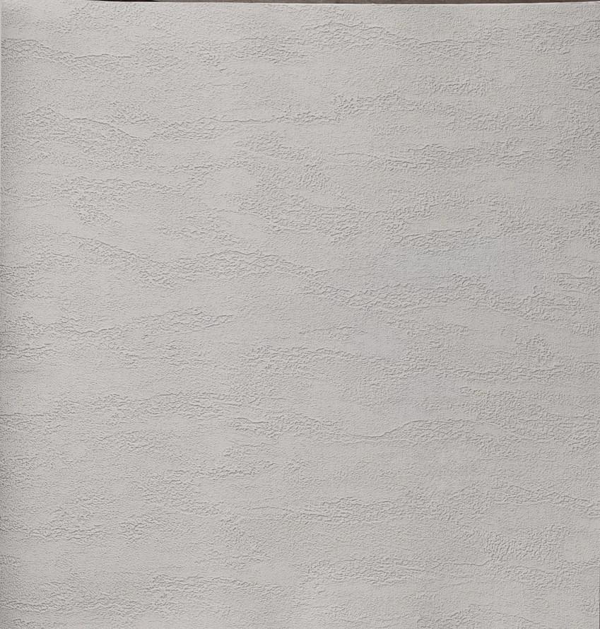 Alessandro Allori Bodega 2406-4 RTE 10.05м x 106см поверхность матовая