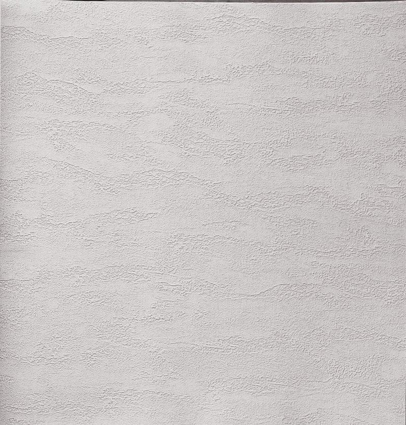 Alessandro Allori Bodega 2406-6 RTE 10.05м x 106см поверхность матовая