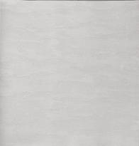 Alessandro Allori Bodega 2406-7 RTE 10.05м x 106см поверхность матовая