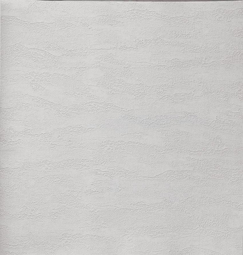 Alessandro Allori Bodega 2406-7 RTE 10.05м x 106см поверхность матовая