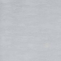 Alessandro Allori Bodega 2406-8 RTE 10.05м x 106см поверхность матовая