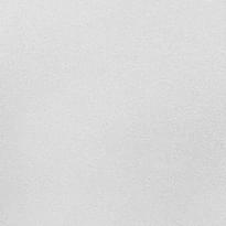 Alessandro Allori Bodega 2409-2 RTE 10.05м x 106см поверхность матовая