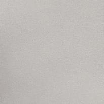 Alessandro Allori Bodega 2409-3 RTE 10.05м x 106см поверхность матовая