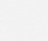 Alessandro Allori Four Seasons 1605-1 RST 10.05м x 106см поверхность матовая