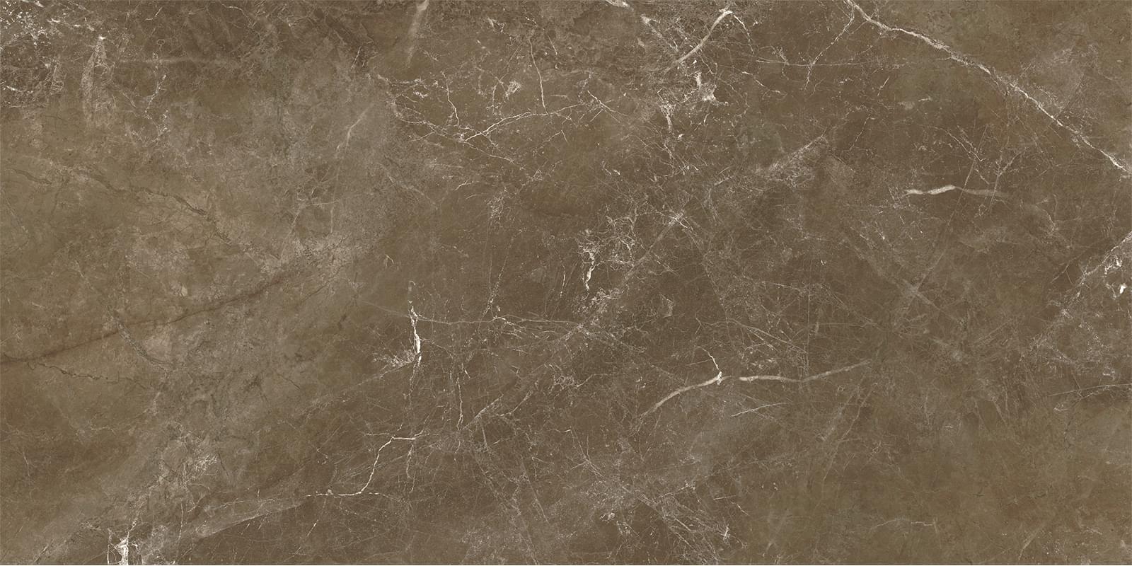 Alma Ceramica Апарель Gfu60120Apl40L 60x120 см, поверхность полуполированная