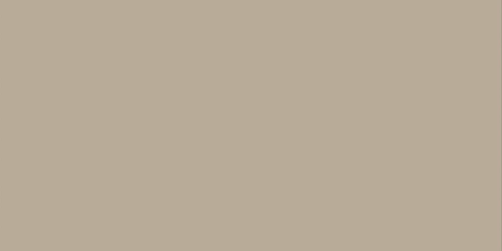 Alma Ceramica Спектор Gfu60120Spr08R 60x120 см, поверхность матовая