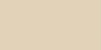 Alma Ceramica Спектор Gfu60120Spr50R 60x120 см, поверхность матовая